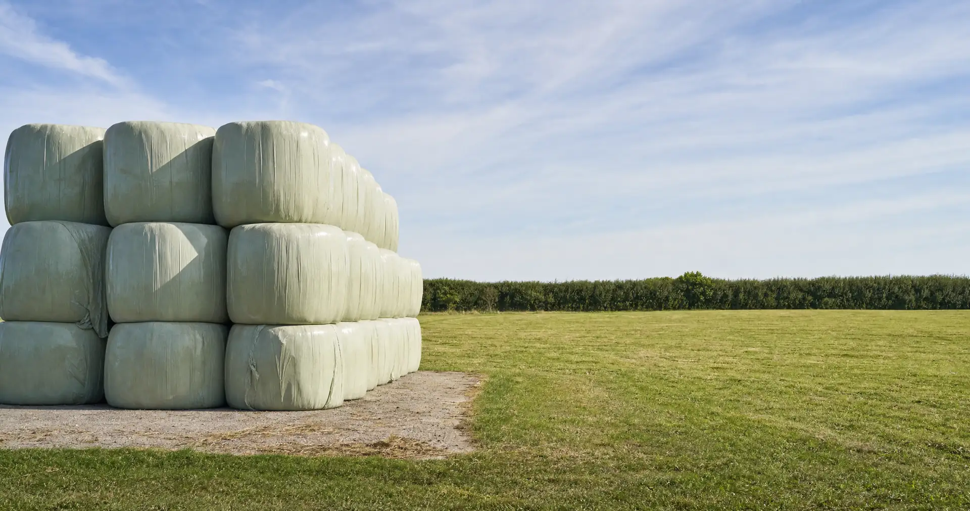 A stack of plastic-wrapped silage bales on a pad at the edge of a mown paddock