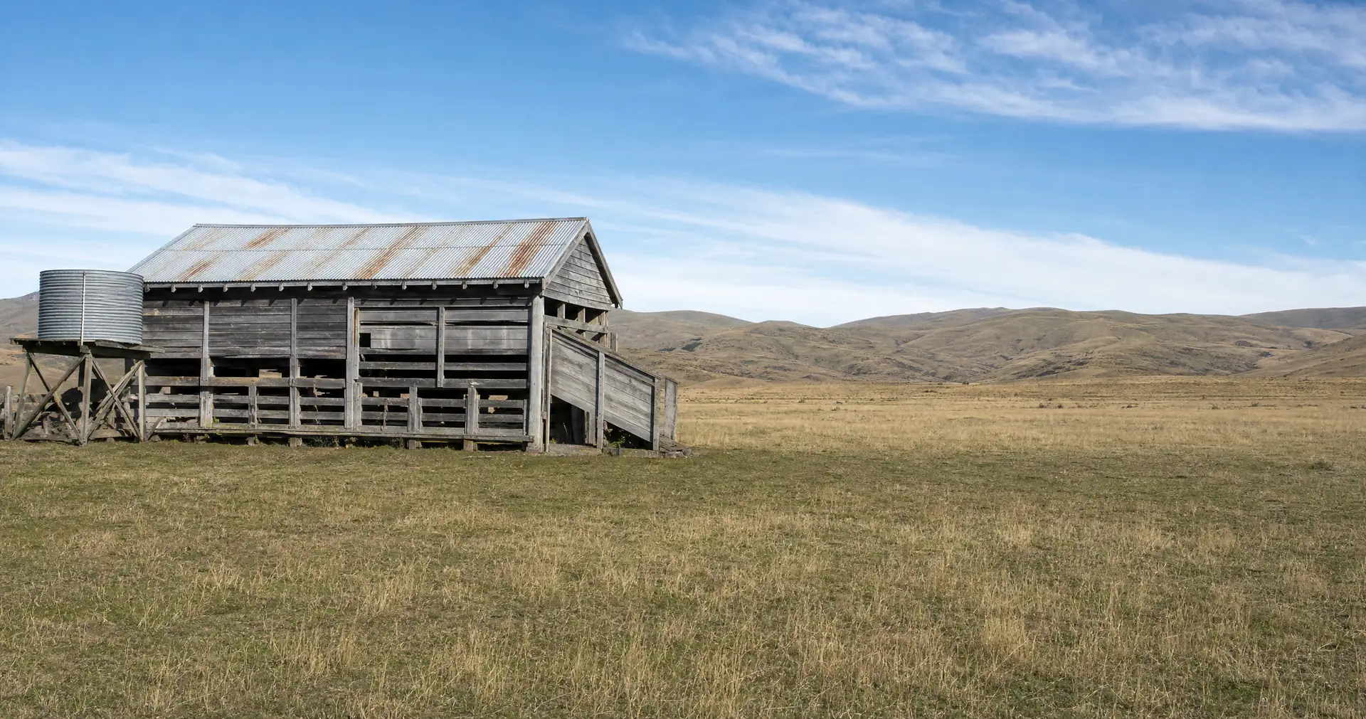 A weathered timber woolshed with a corrugated iron roof and a stock ramp at one end