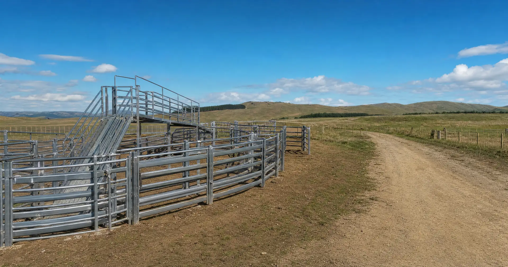 A set of empty galvanised steel stock yards with a curved race and a loading ramp
