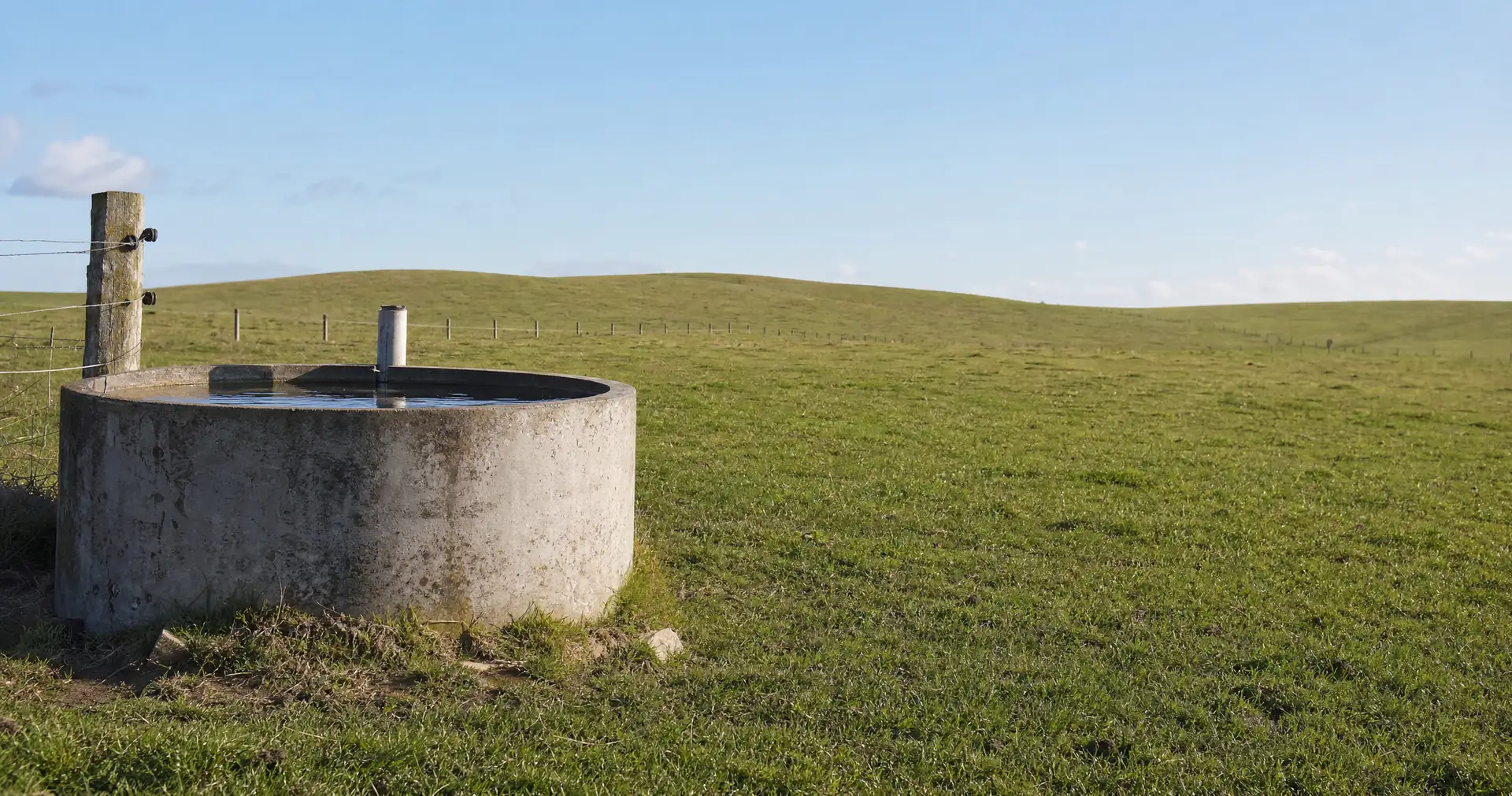A concrete stock water trough beside a fence post in closely grazed rolling pasture