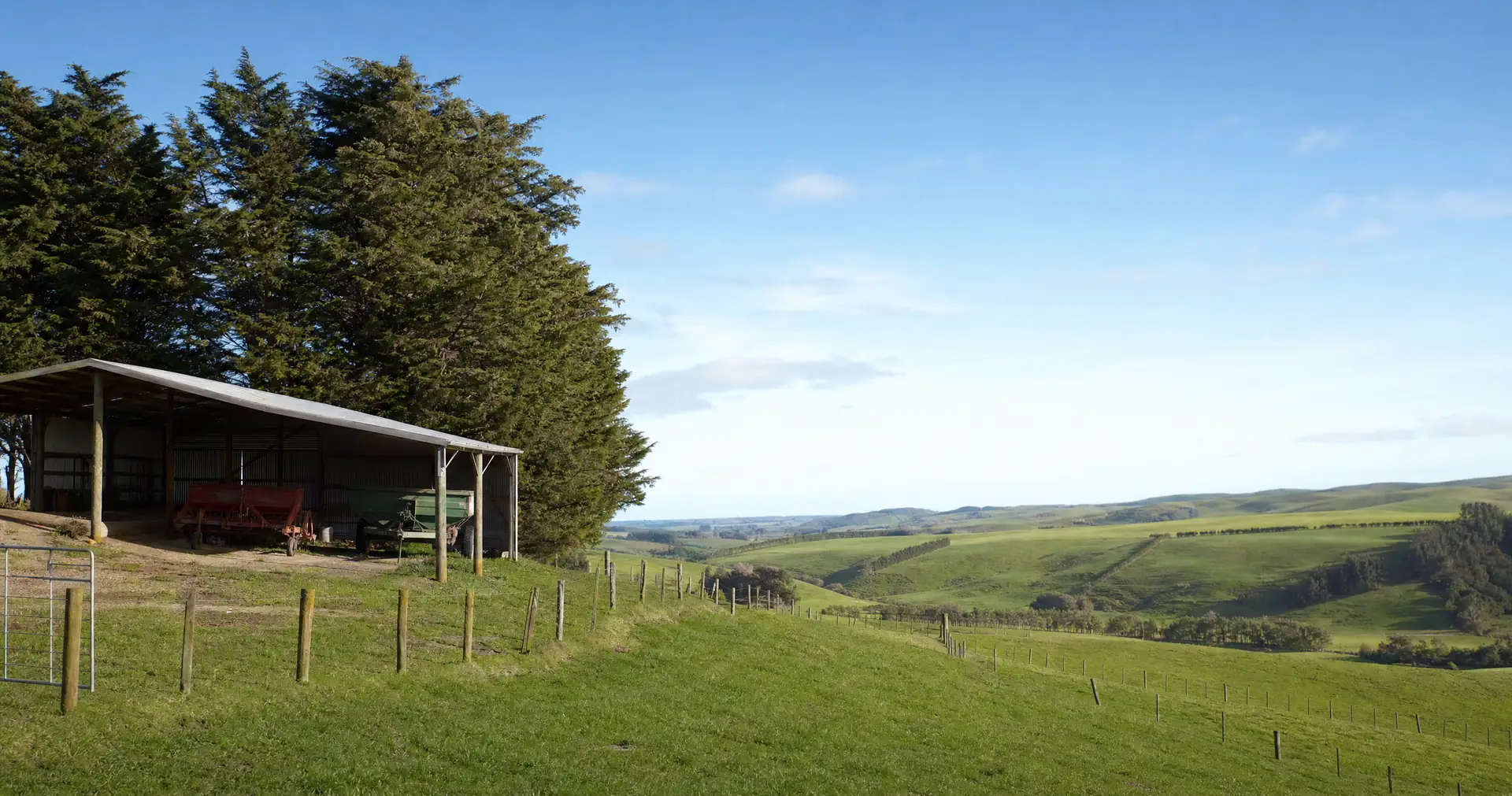 A farm implement shed and a stand of shelter trees on a terrace of rolling farmland